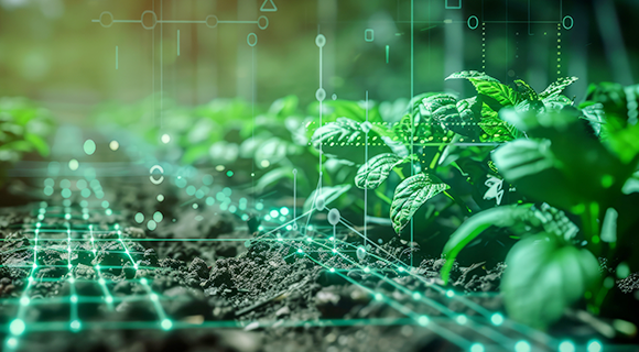 농림·환경 감시 이미지